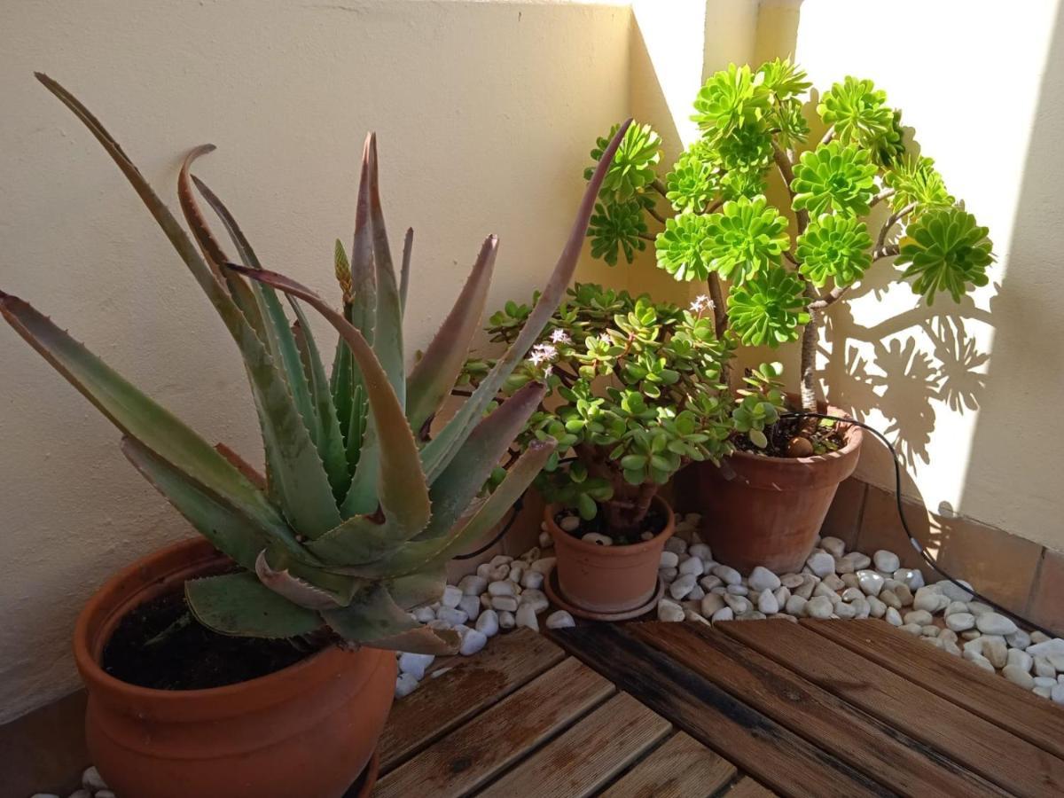 Livingtarifa Apartamento Nano Экстерьер фото