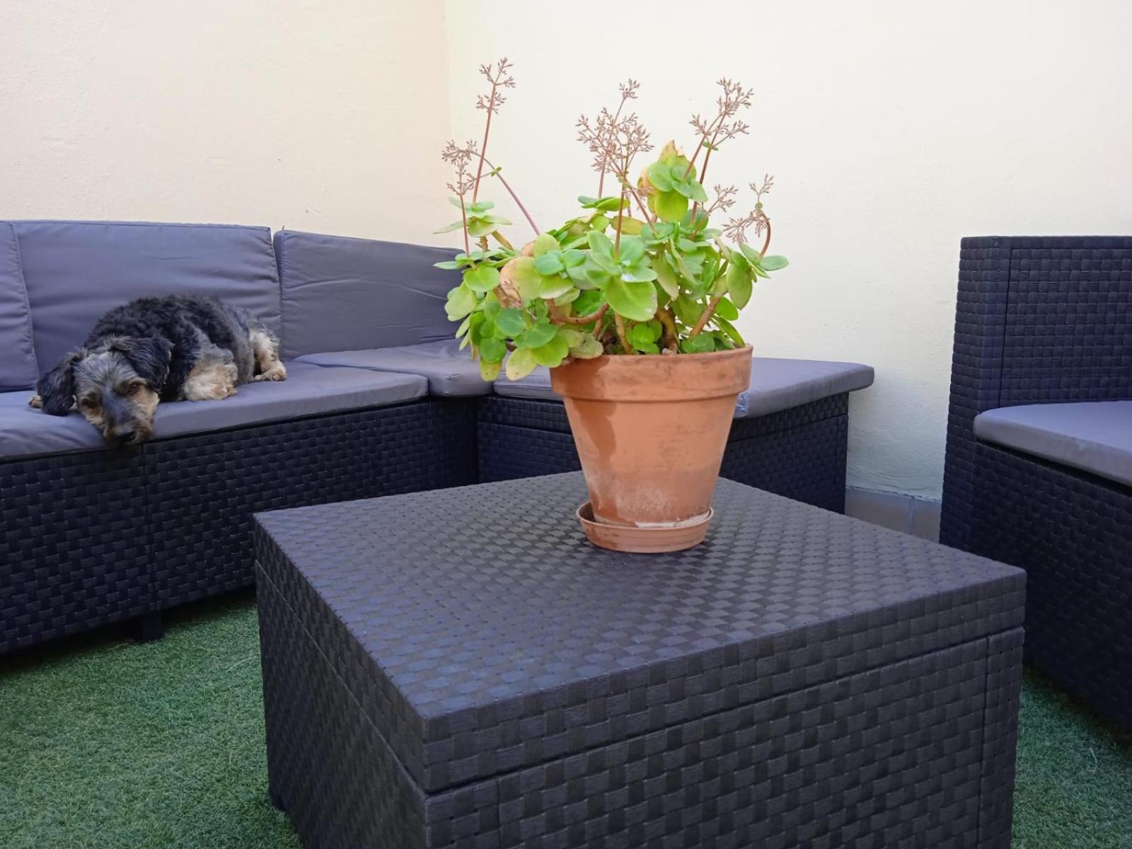 Livingtarifa Apartamento Nano Экстерьер фото